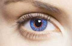 lentillas.JPG