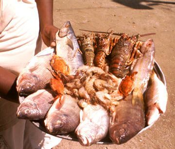pescados.jpg