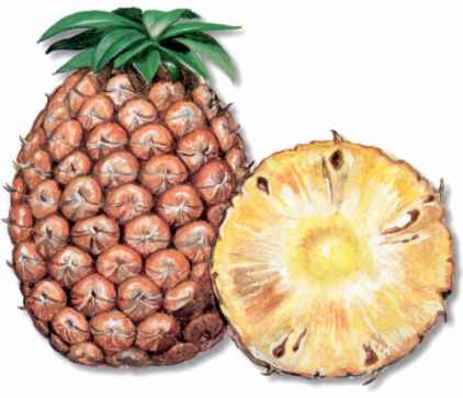 ananas.jpg