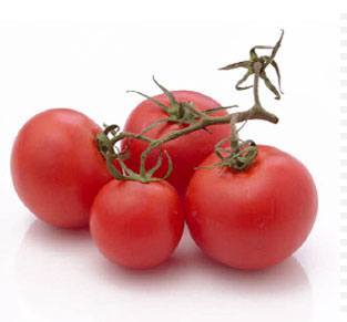 tomates.jpg