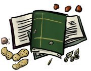 alimentacion1.jpg