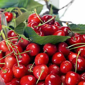 cerezas.jpg