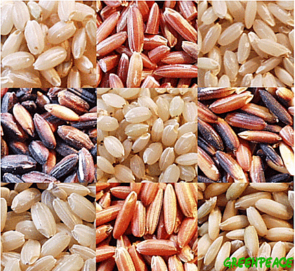 arroz.gif