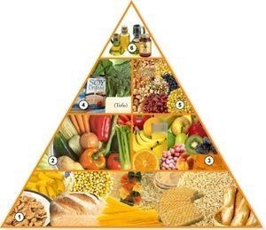 piramide-vegetariana.jpg