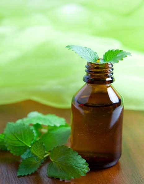 Minzöl/ mint oil 
