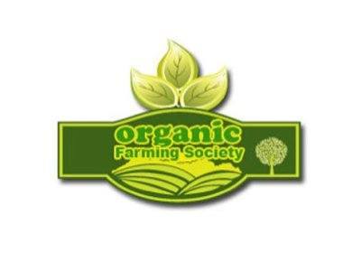comida organica