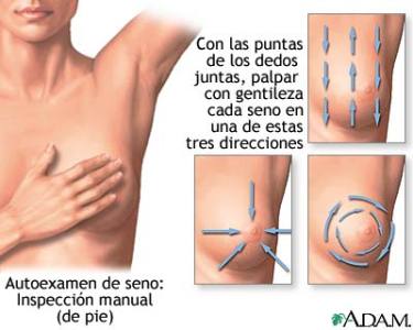 autoexamen-de-seno
