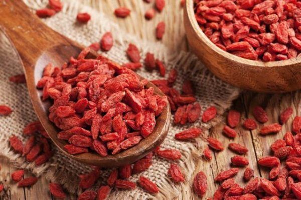 bayas de goji propiedades y beneficios