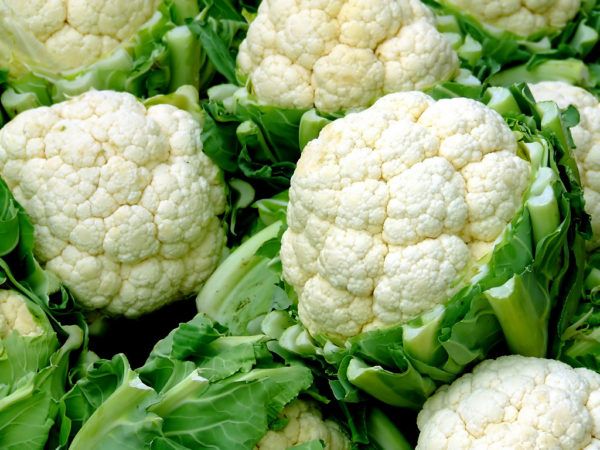 coliflor-propiedades-beneficios-recetas