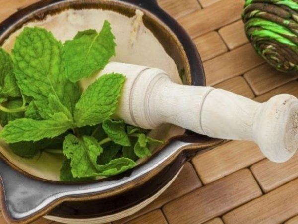 la-menta-propiedades-beneficios-y-como-tomarla-beneficios