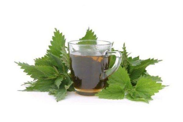 parietarias-propiedades-y-beneficios-de-la-planta-parietaria-propiedades