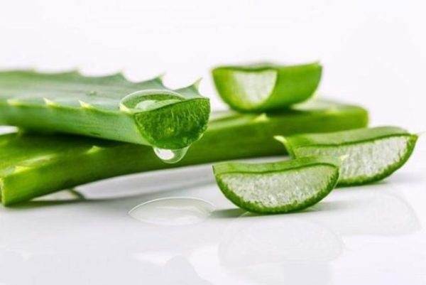 como-hidratar-la-piel-desde-dentro-aloe-vera