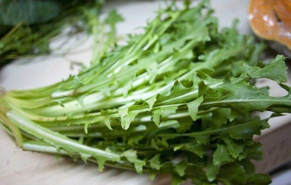 achicoria propiedades