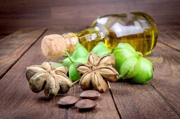 sacha inchi propiedades