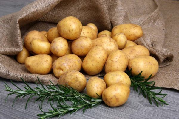 patatas propiedades precauciones y como cocinarlas