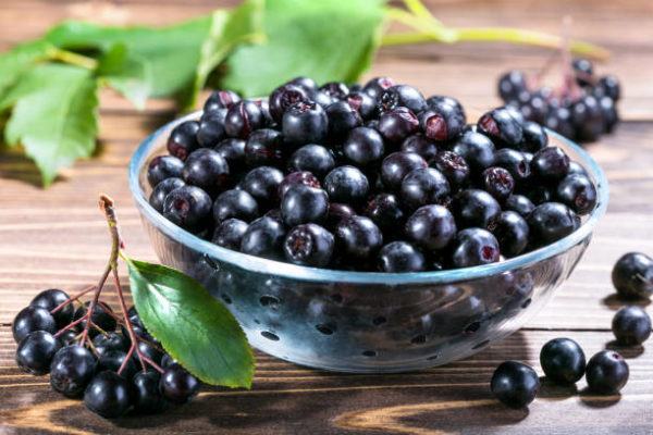 Bayas de aronia que son beneficios