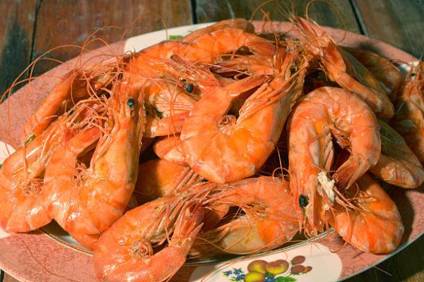 Que es el chitosan beneficios contraindicaciones y como usarlo 