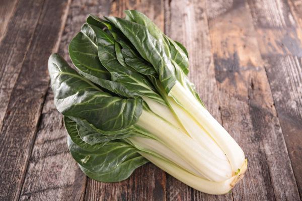 Acelgas propiedades los beneficios recetas 