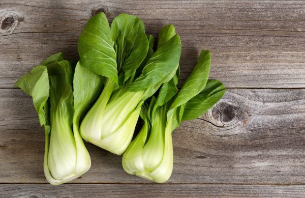Alimentos mas ricos calcio para intolerantes lactosa bok choy 